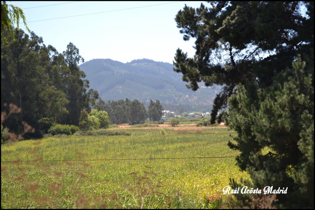 Foto de Licantén (Maule), Chile