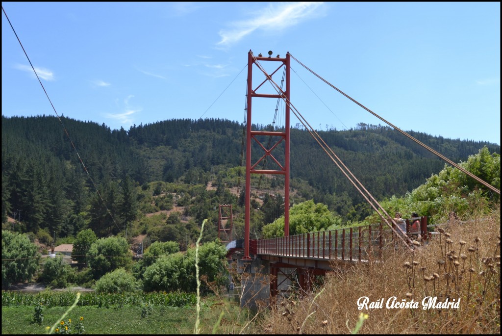 Foto de Licantén (Maule), Chile