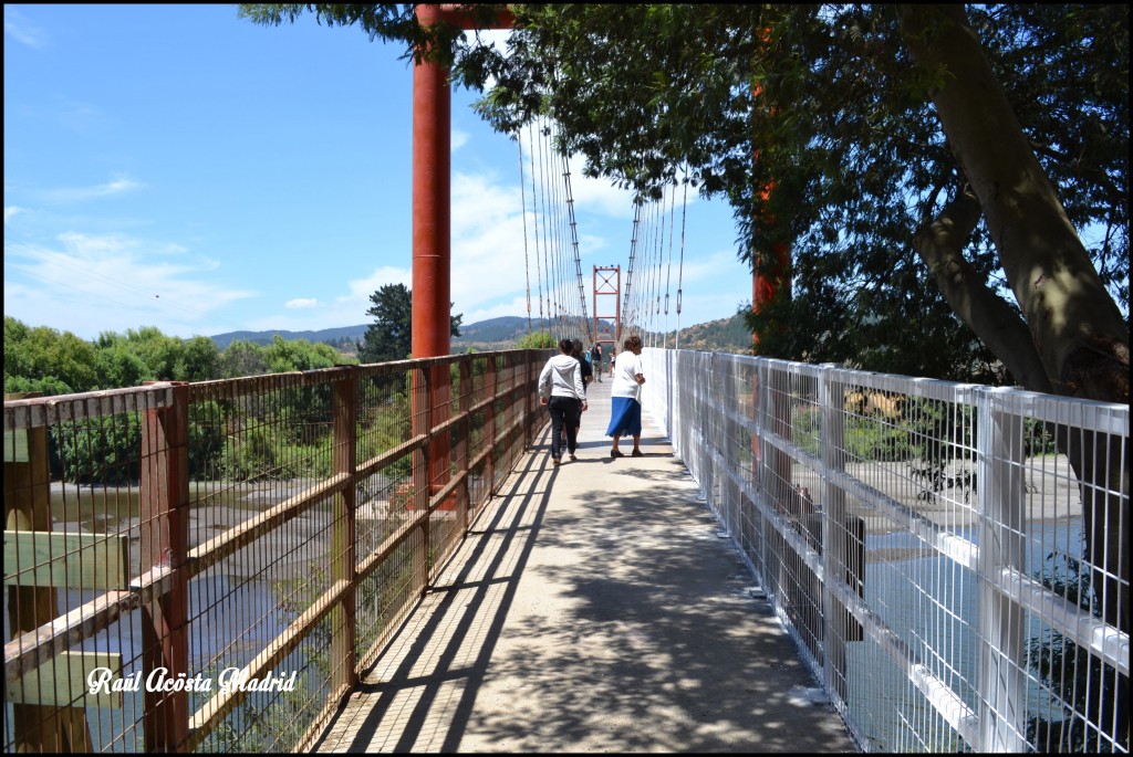 Foto de Licantén (Maule), Chile