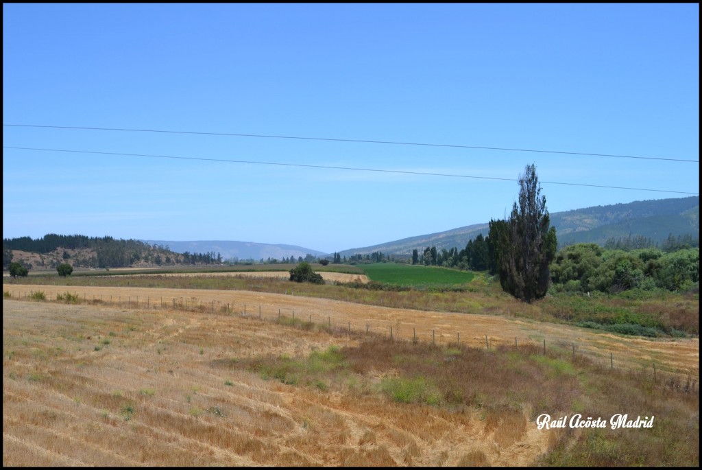 Foto de Licantén (Maule), Chile