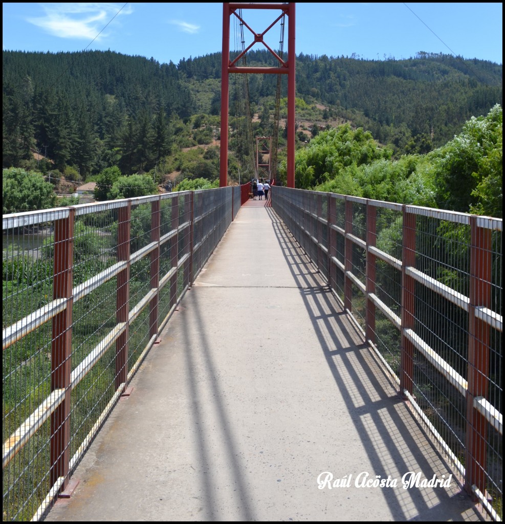 Foto de Licantén (Maule), Chile