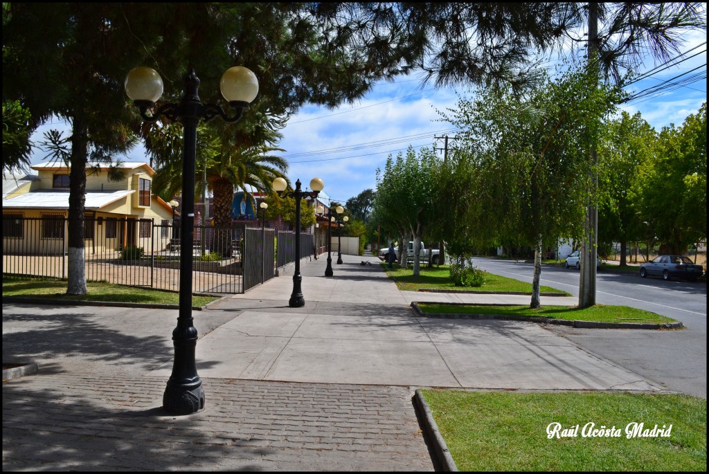 Foto de Rauco (Maule), Chile