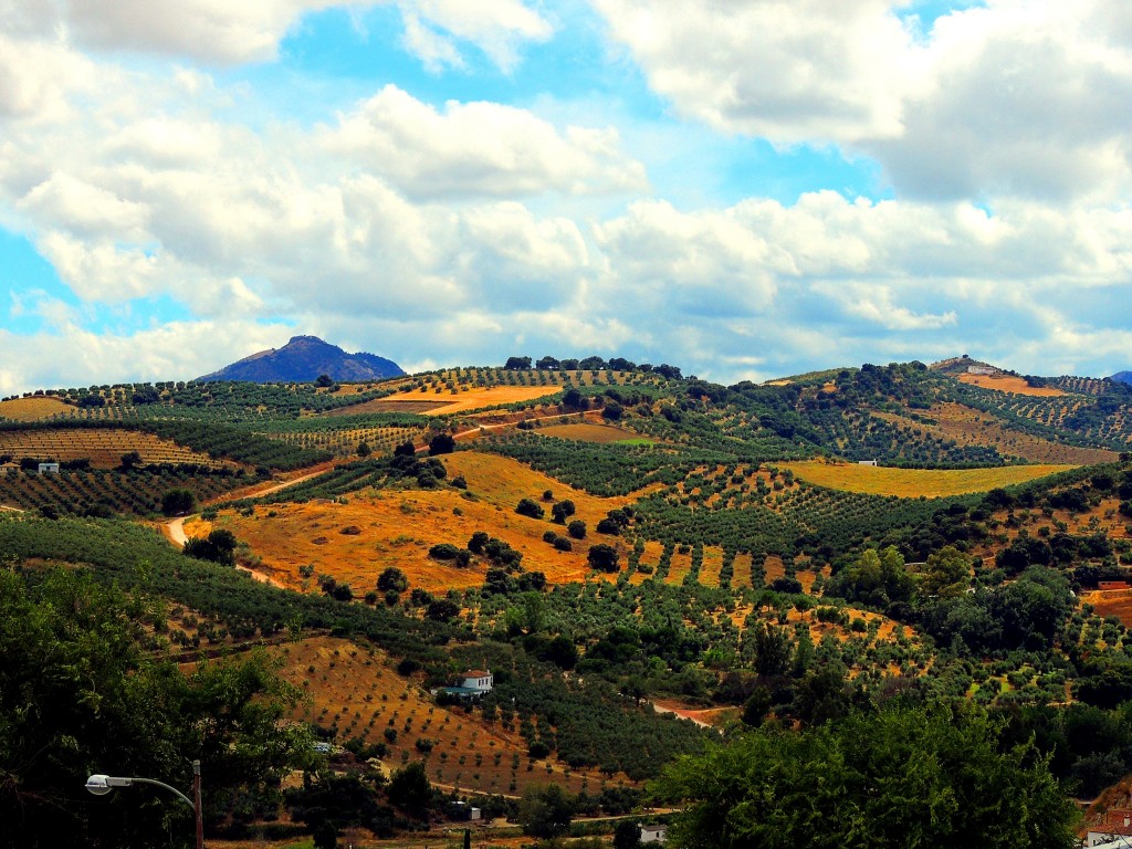 Foto de Torre Alhaquime (Cádiz), España