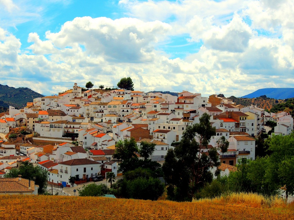 Foto de Torre Alhaquime (Cádiz), España