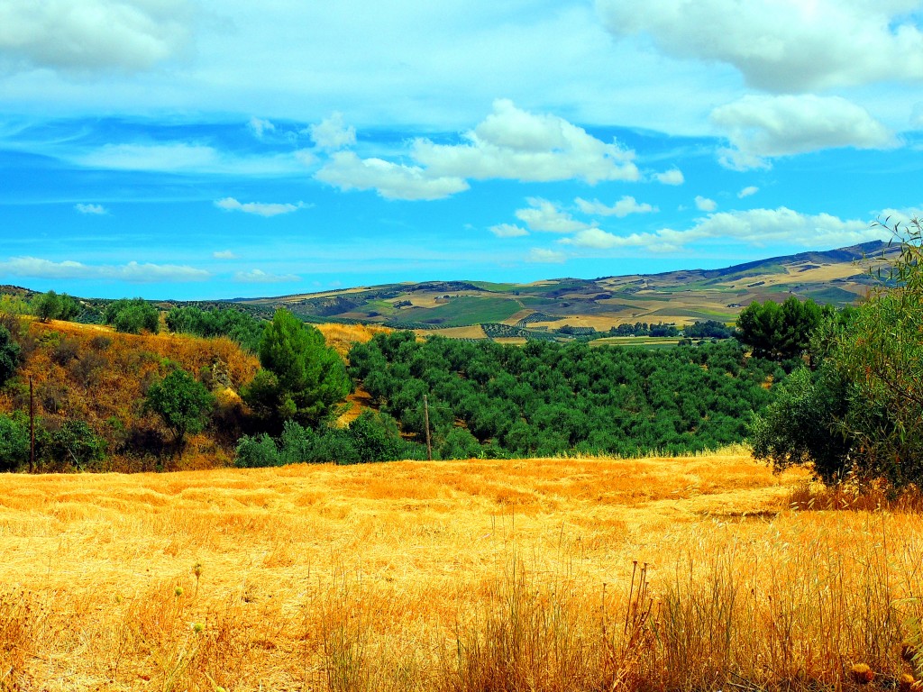 Foto de Torre Alhaquime (Cádiz), España