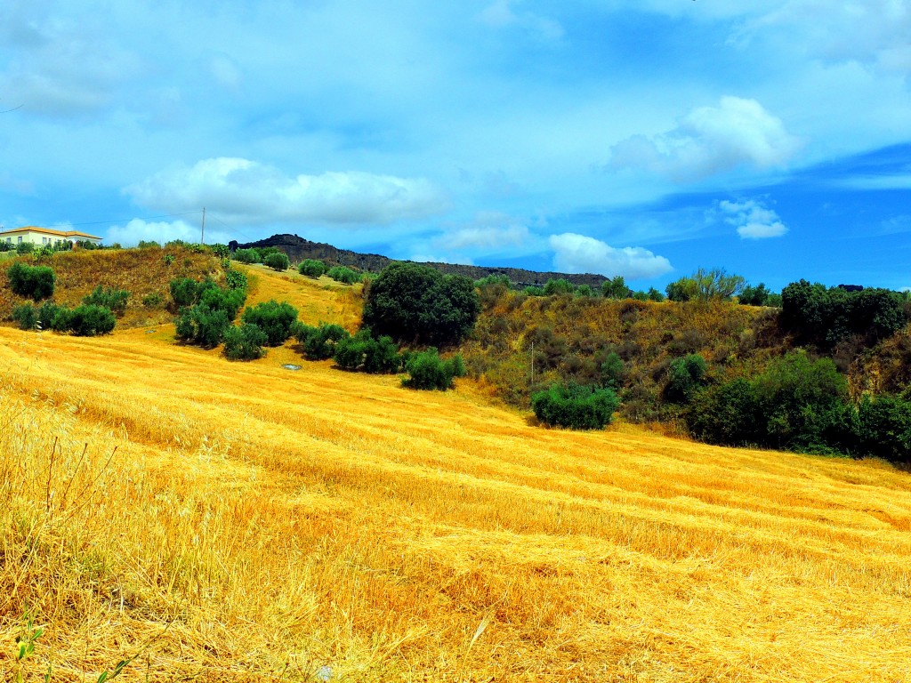 Foto de Torre Alhaquime (Cádiz), España