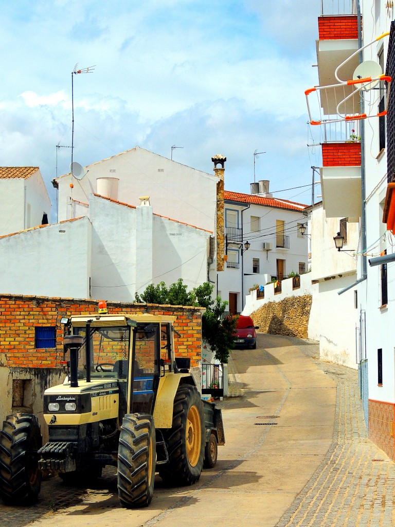 Foto de Torre Alhaquime (Cádiz), España