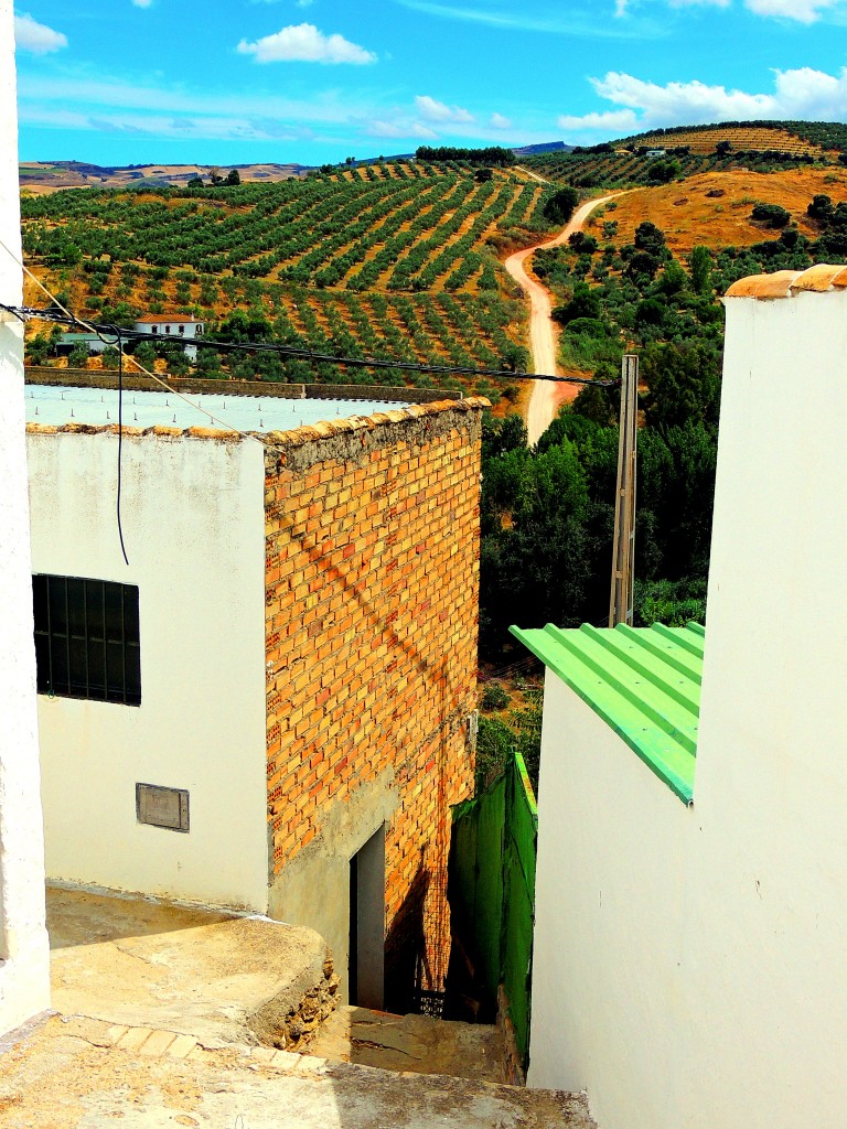 Foto de Torre Alhaquime (Cádiz), España