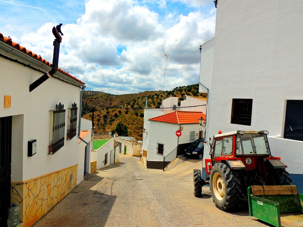 Foto de Torre Alhaquime (Cádiz), España