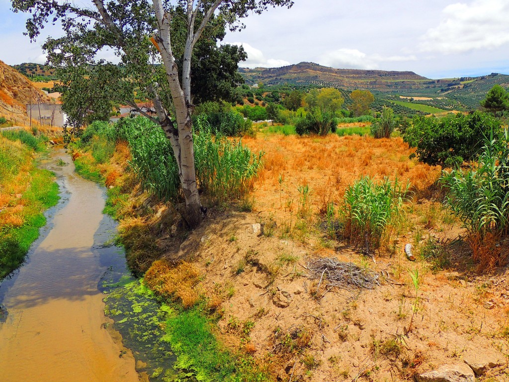 Foto de Torre Alhaquime (Cádiz), España