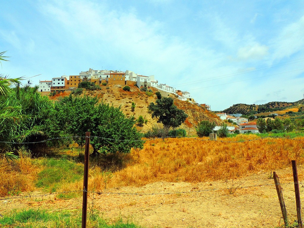 Foto de Torre Alhaquime (Cádiz), España