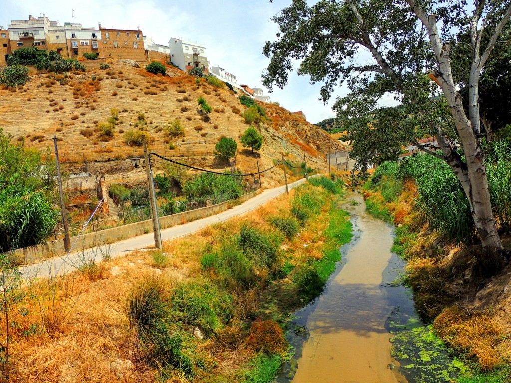 Foto de Torre Alhaquime (Cádiz), España