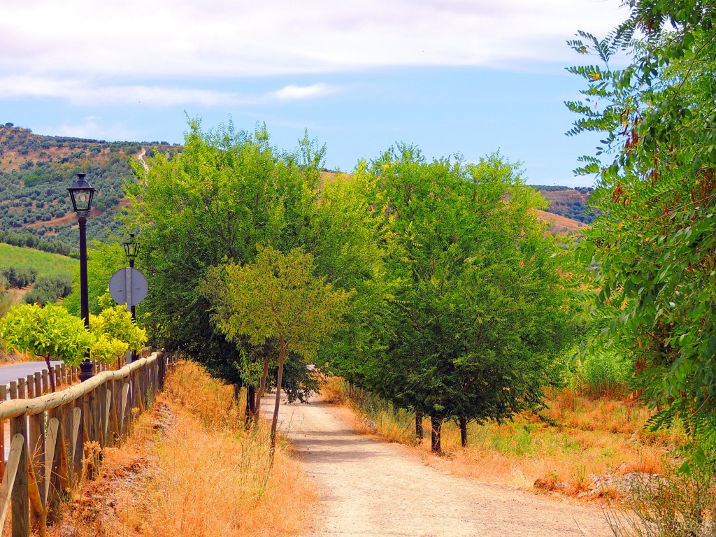 Foto de Torre Alhaquime (Cádiz), España