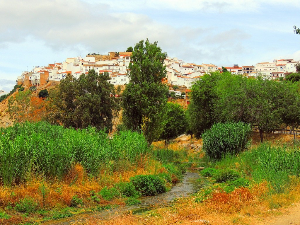 Foto de Torre Alhaquime (Cádiz), España