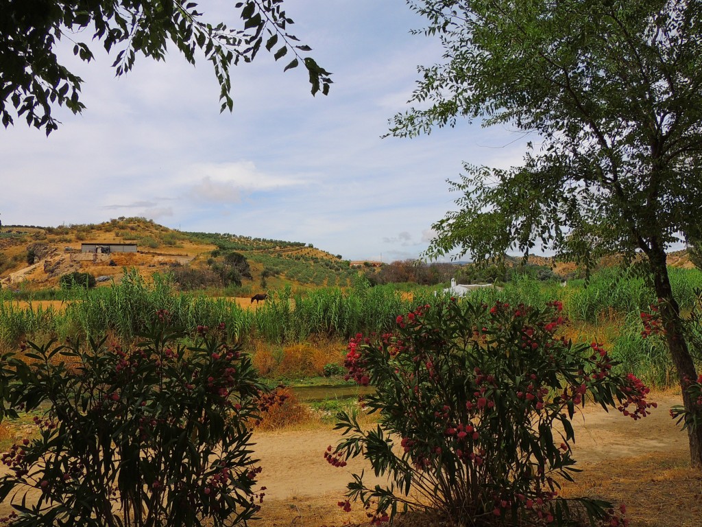 Foto de Torre Alhaquime (Cádiz), España