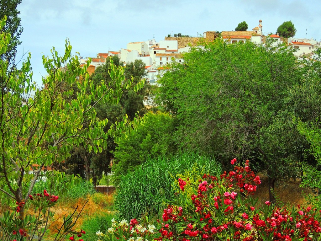 Foto de Torre Alhaquime (Cádiz), España