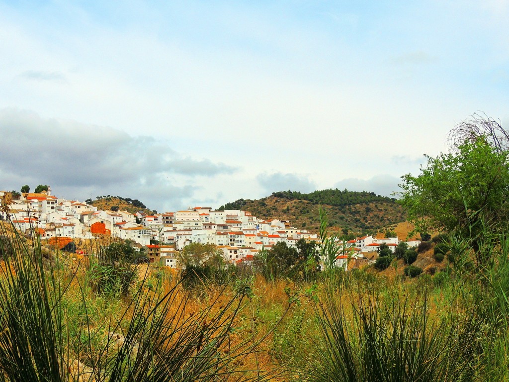 Foto de Torre Alhaquime (Cádiz), España