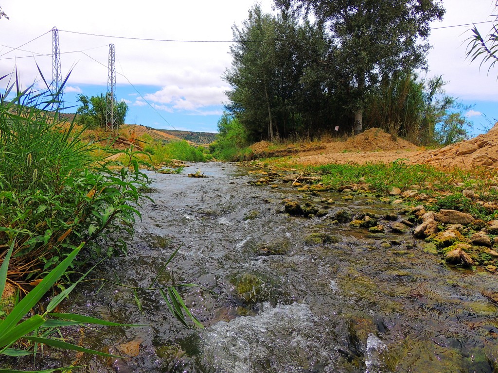 Foto de Torre Alhaquime (Cádiz), España