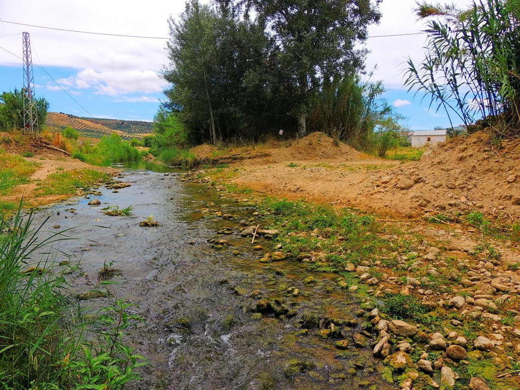 Foto de Torre Alhaquime (Cádiz), España
