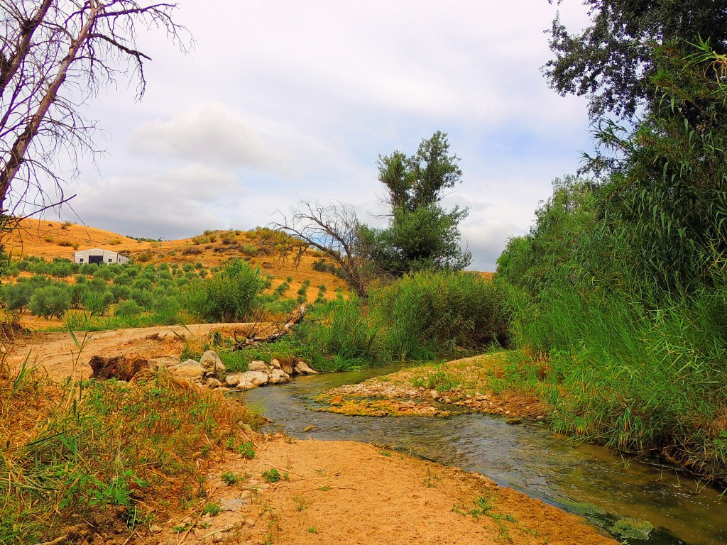 Foto de Torre Alhaquime (Cádiz), España
