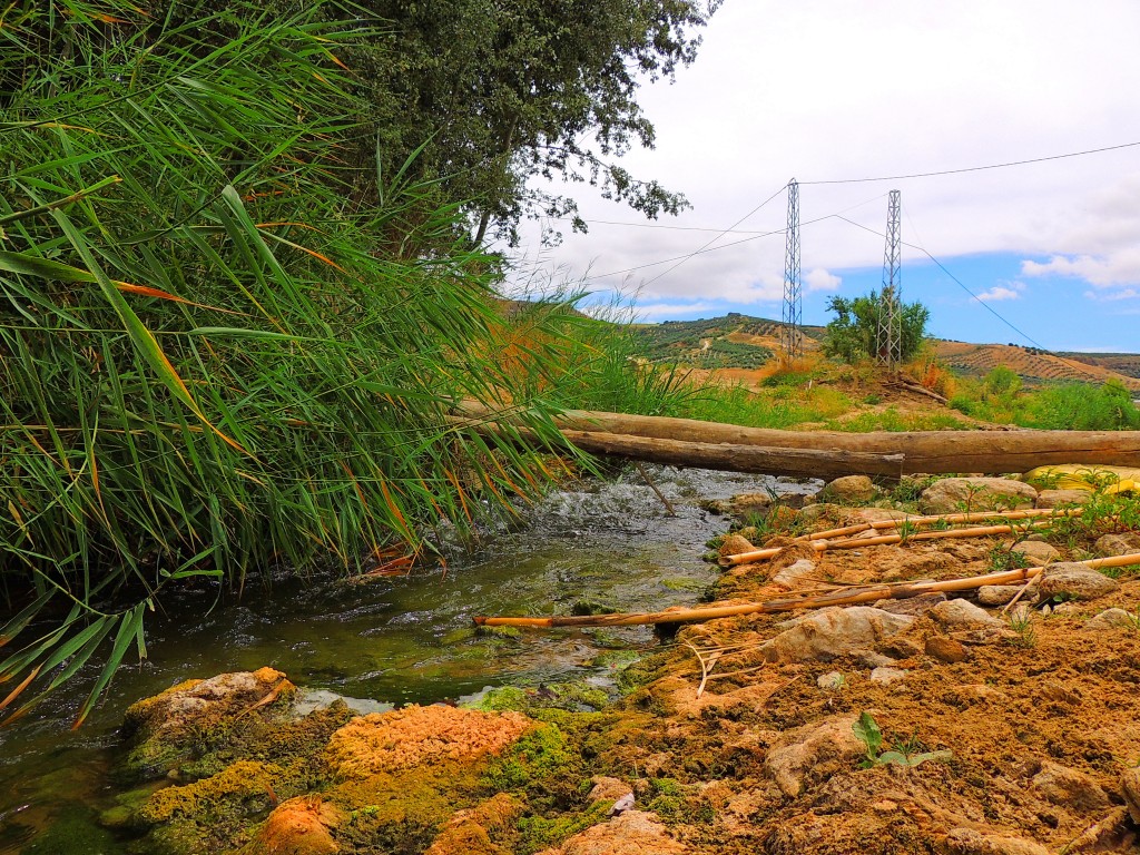 Foto de Torre Alhaquime (Cádiz), España