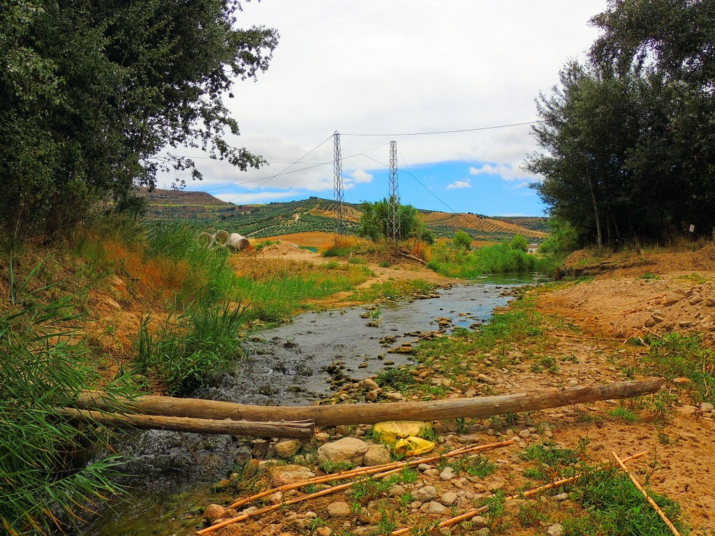 Foto de Torre Alhaquime (Cádiz), España