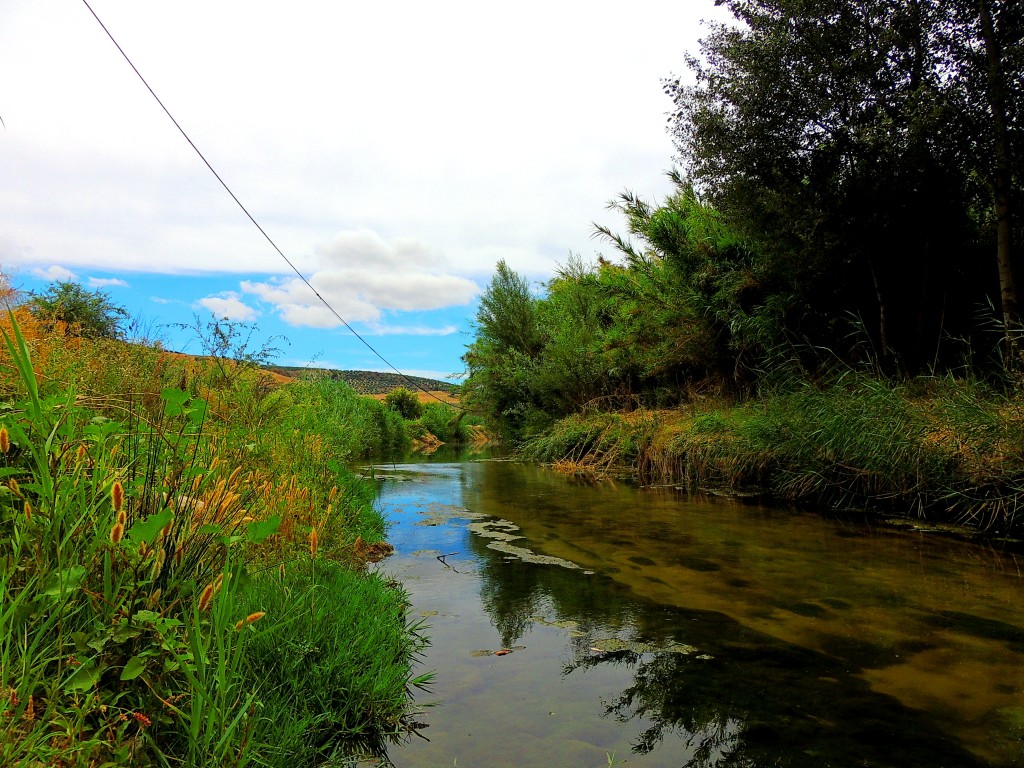Foto de Torre Alhaquime (Cádiz), España