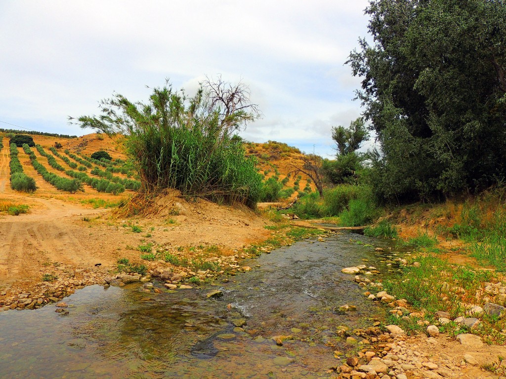 Foto de Torre Alhaquime (Cádiz), España