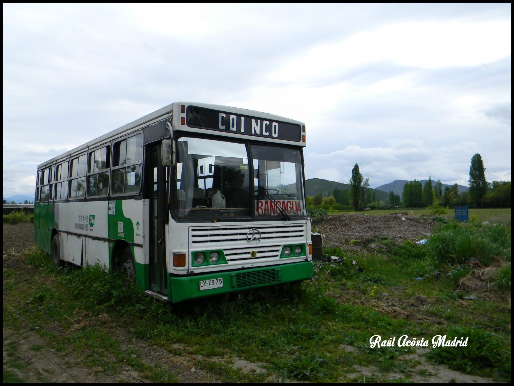 Foto de Zúñiga (Libertador General Bernardo OʼHiggins), Chile