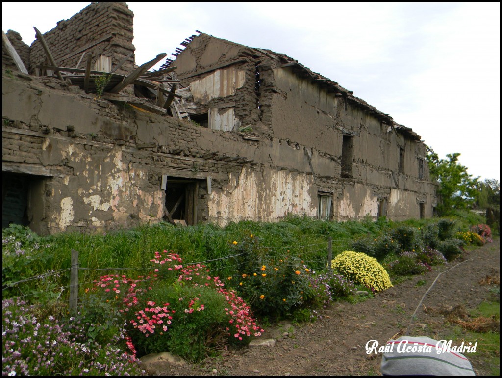 Foto de Zúñiga (Libertador General Bernardo OʼHiggins), Chile