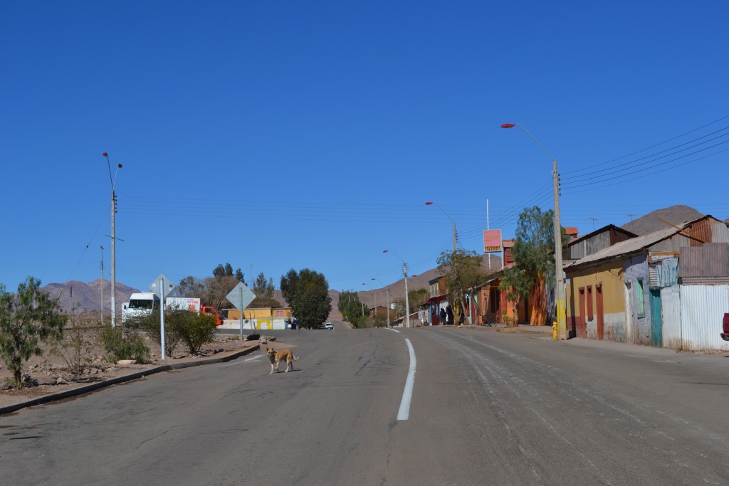 Foto: CALLES - Inca De Oro-chañaral (Atacama), Chile