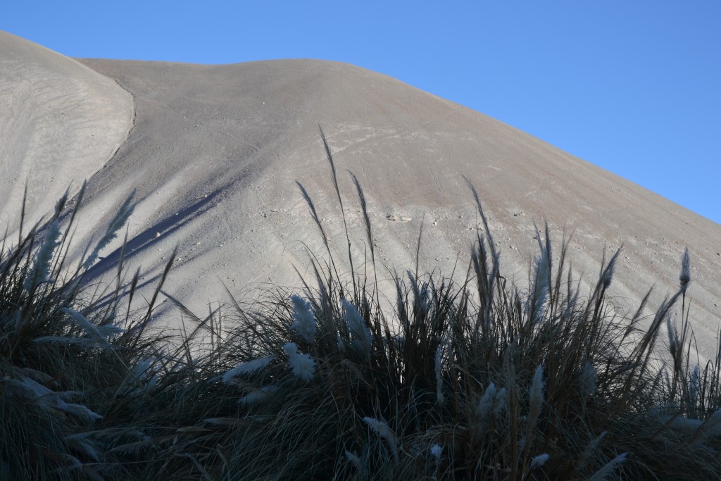 Foto: LAS VEGAS - Inca De Oro-chañaral (Atacama), Chile