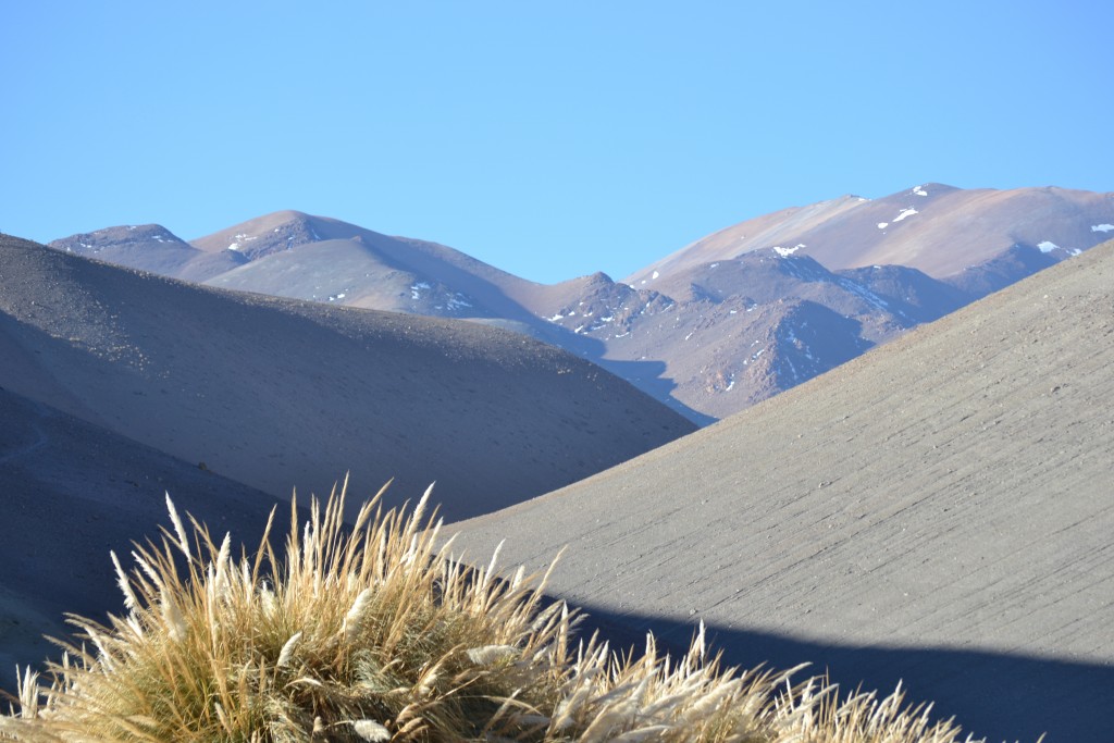Foto: PAISAJES - Inca De Oro-chañaral (Atacama), Chile