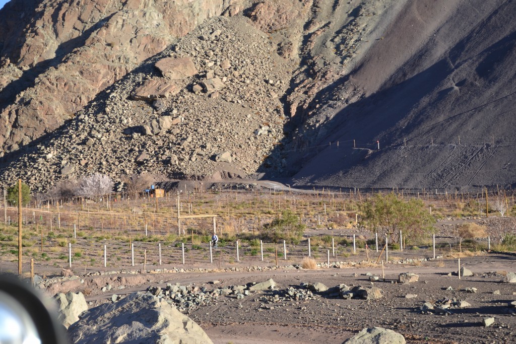 Foto: PAISAJES - Inca De Oro-chañaral (Atacama), Chile