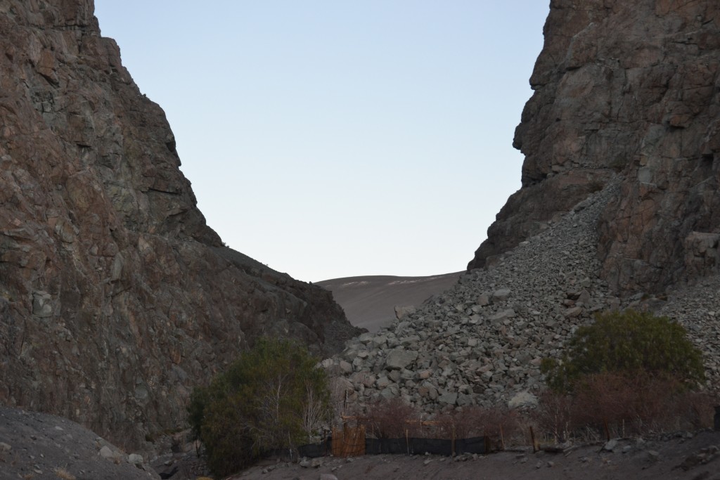 Foto: PAISAJE - Inca De Oro-chañaral (Atacama), Chile