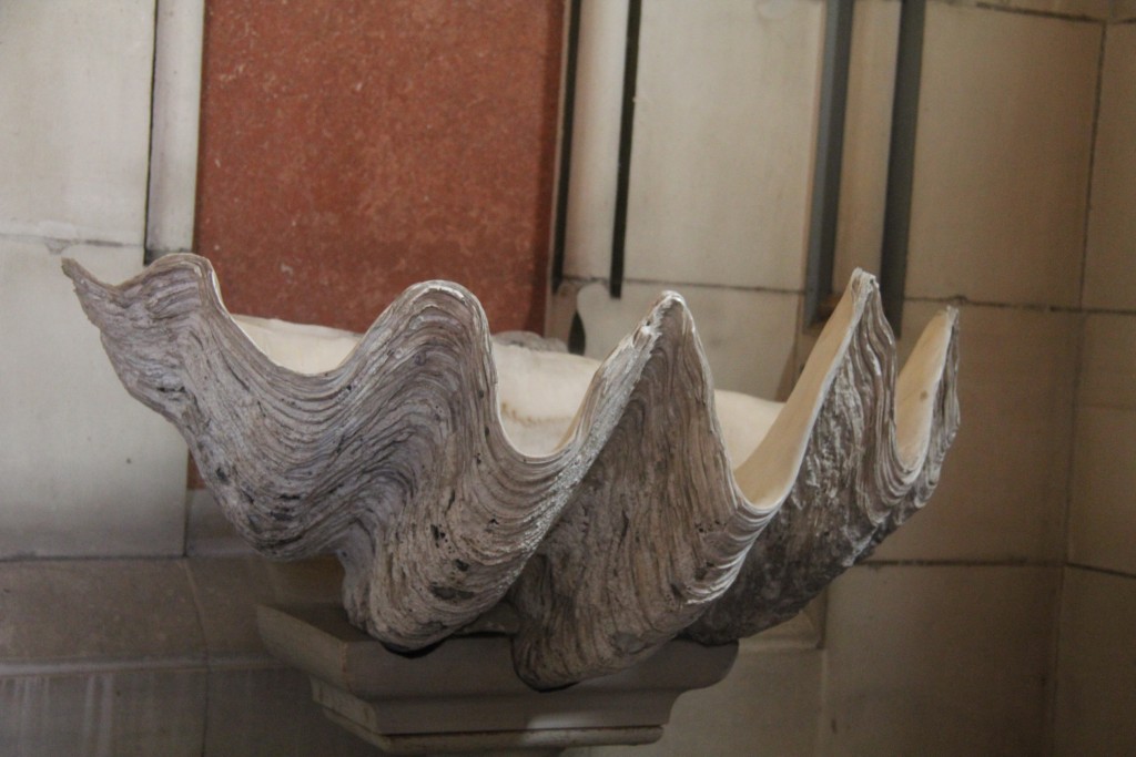 Foto de Puerto Real (Cádiz), España