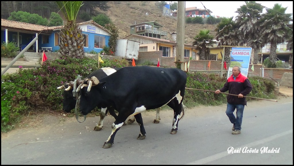 Foto de Duao (Maule), Chile