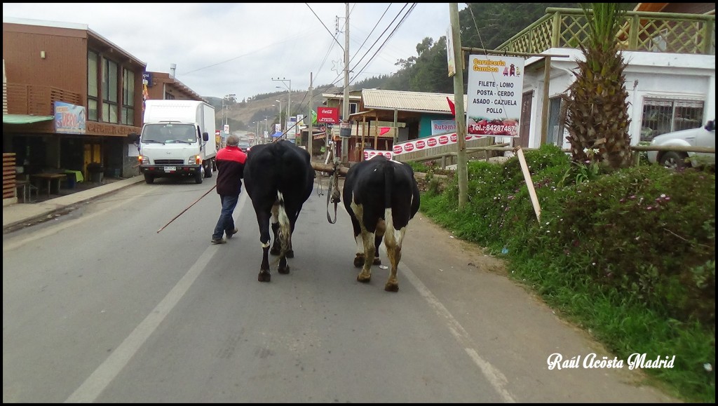 Foto de Duao (Maule), Chile
