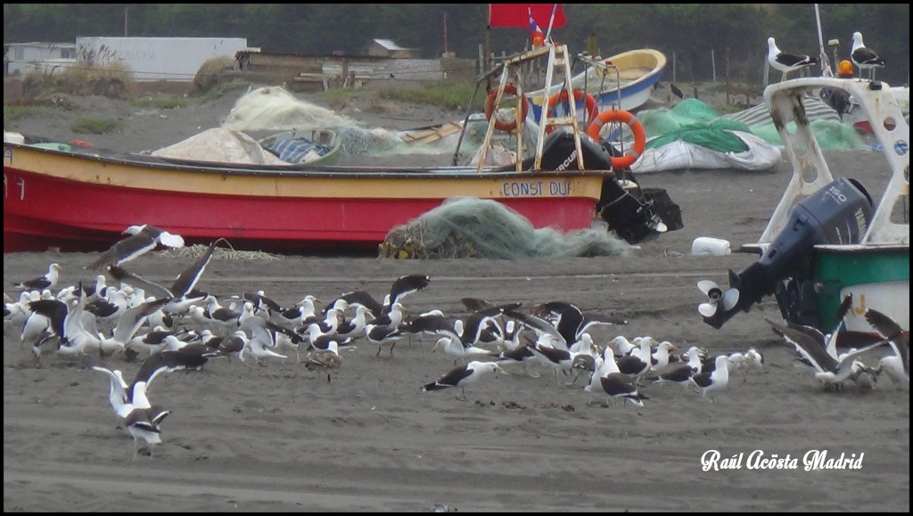 Foto de Duao (Maule), Chile