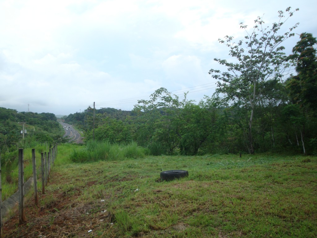 Foto: Finca Marajungla - Sabanitas Quebrada Lopez La Jungla (Colón), Panamá