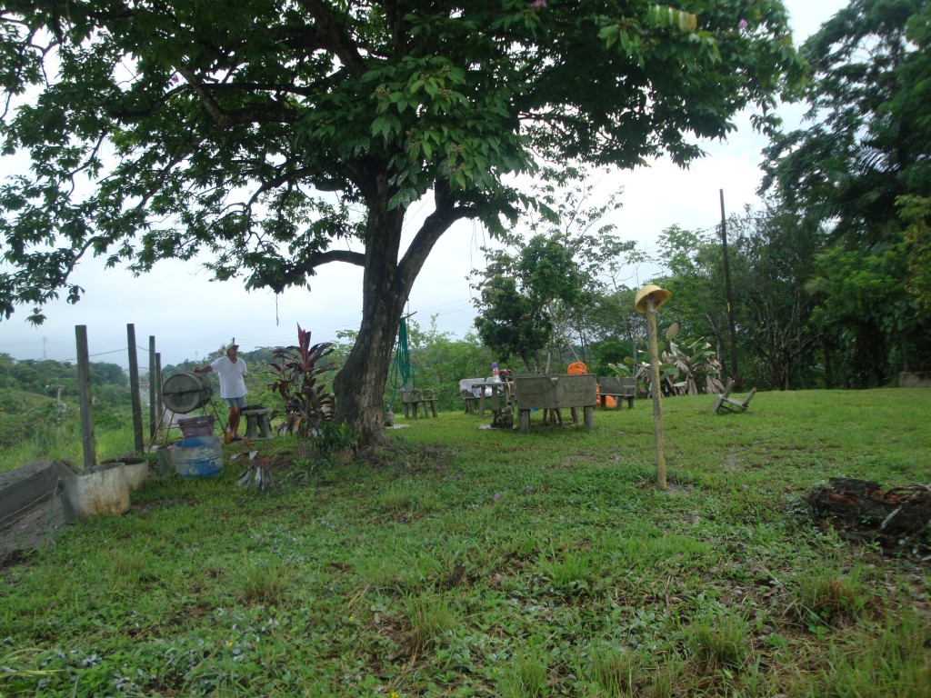 Foto de Sabanitas Quebrada Lopez La Jungla (Colón), Panamá