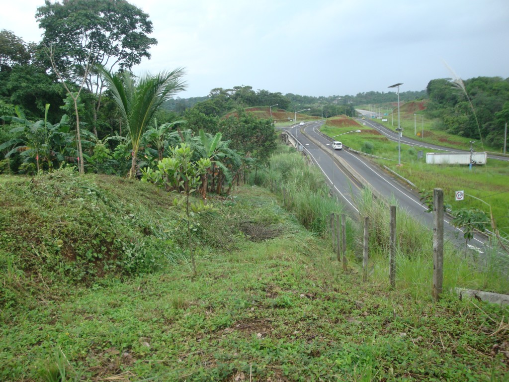 Foto de Sabanitas Quebrada Lopez La Jungla (Colón), Panamá