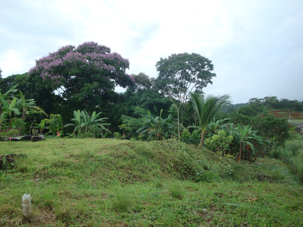 Foto de Sabanitas Quebrada Lopez La Jungla (Colón), Panamá