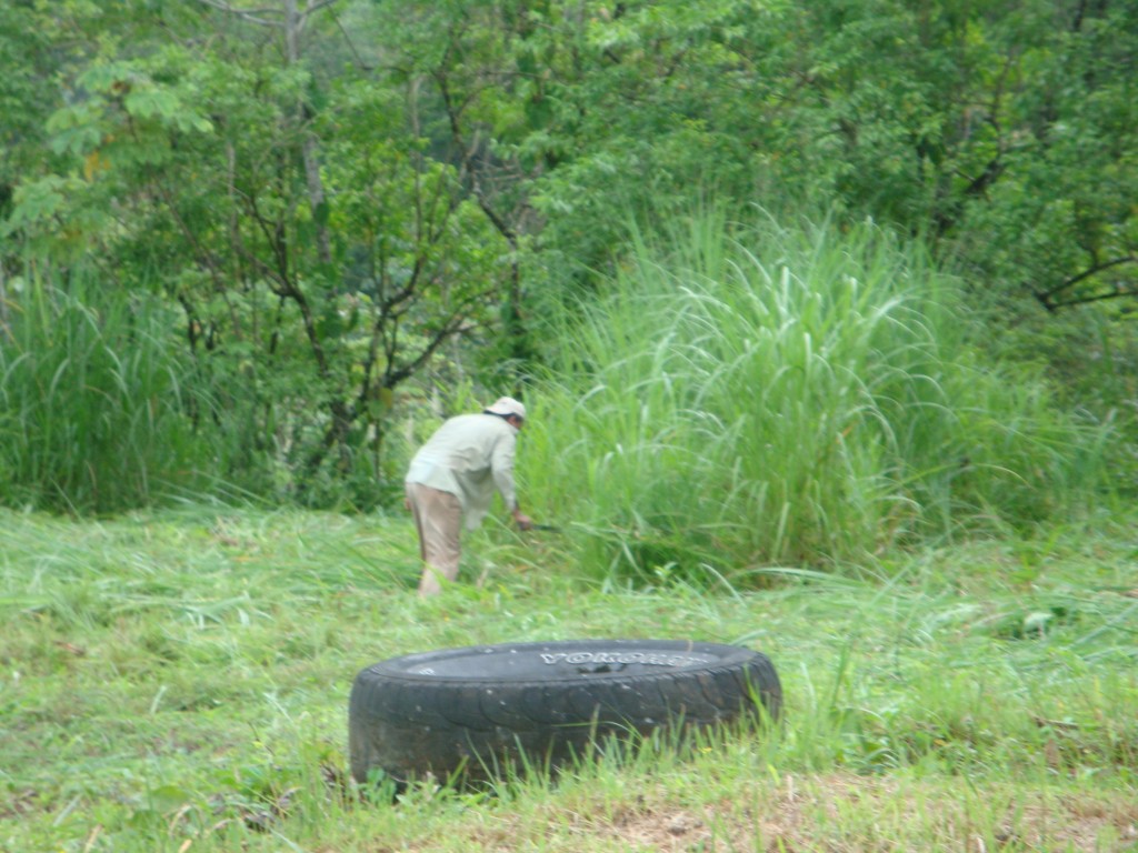 Foto de Sabanitas Quebrada Lopez La Jungla (Colón), Panamá