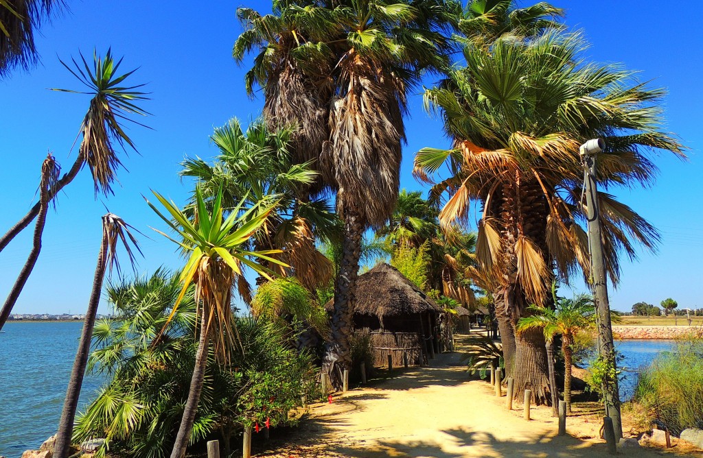 Foto de Palos de la Frontera (Huelva), España