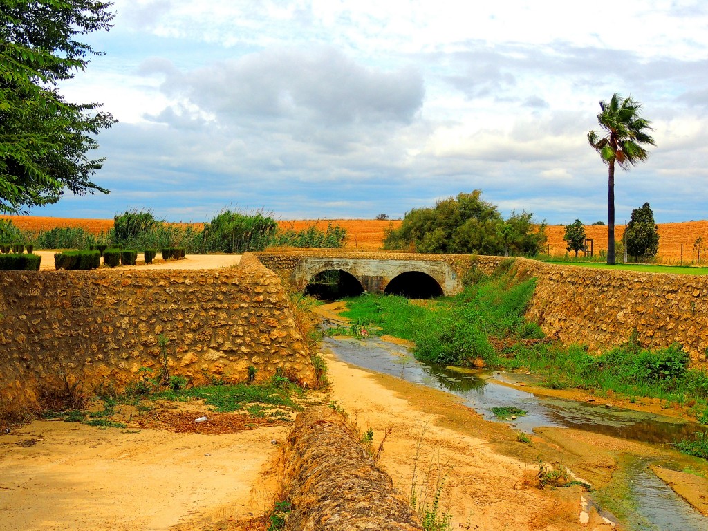 Foto de Palos de la Frontera (Huelva), España