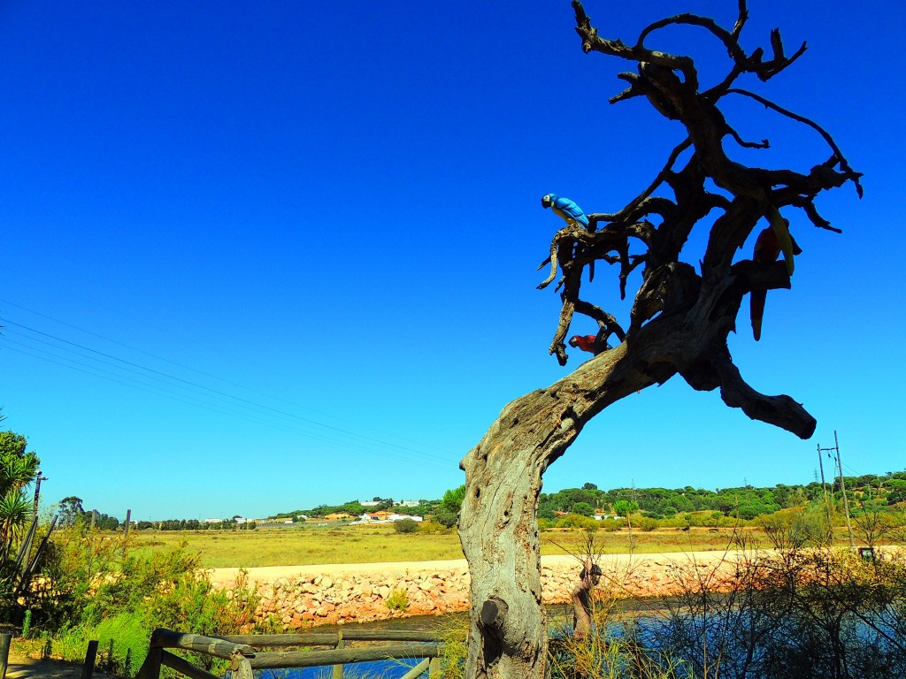 Foto de Palos de la Frontera (Huelva), España