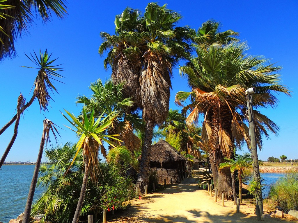 Foto de Palos de la Frontera (Huelva), España
