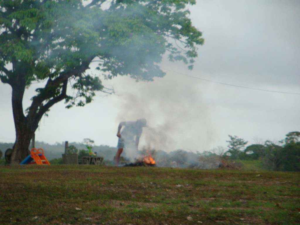 Foto: Saltamonte en acción, mantenimiento de la finca Marajungla - Quebrada López (Colón), Panamá