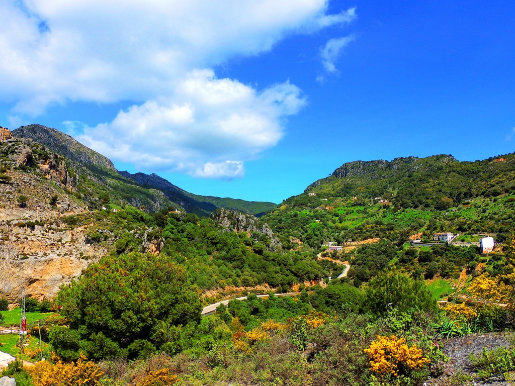 Foto de Casáres (Málaga), España